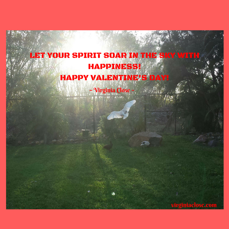 Live your life today; For you to cherish the yesterday. Tomorrow is another day; Aim as if tomorrow is today.-13